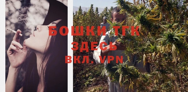 ГАЛЛЮЦИНОГЕННЫЕ ГРИБЫ Абаза